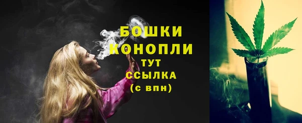 кокс Вяземский
