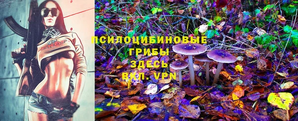 кокс Вяземский